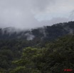 076 Monts de Cristal Foret et Nuages 10E5K2IMG_59060wtmk.jpg