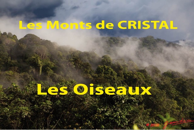 079 Titre Photos Cristal Oiseaux.jpg