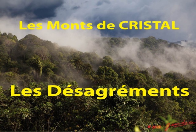 107 Titre Photos Cristal Desagrements.jpg