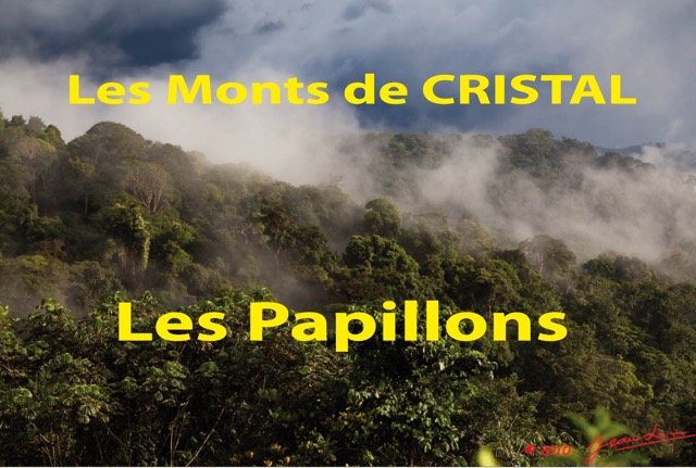 111 Titre Photos Cristal Papillons.jpg