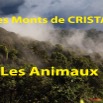 144 Titre Photos Cristal Animaux.jpg