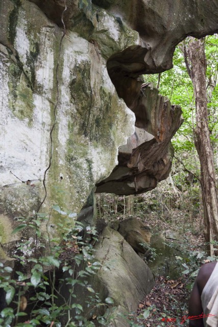 005 Grotte 2 Rochers aux Picathartes 11E5K2IMG_72029wtmk.jpg.jpg