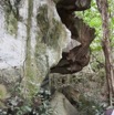 005 Grotte 2 Rochers aux Picathartes 11E5K2IMG_72029wtmk.jpg.jpg