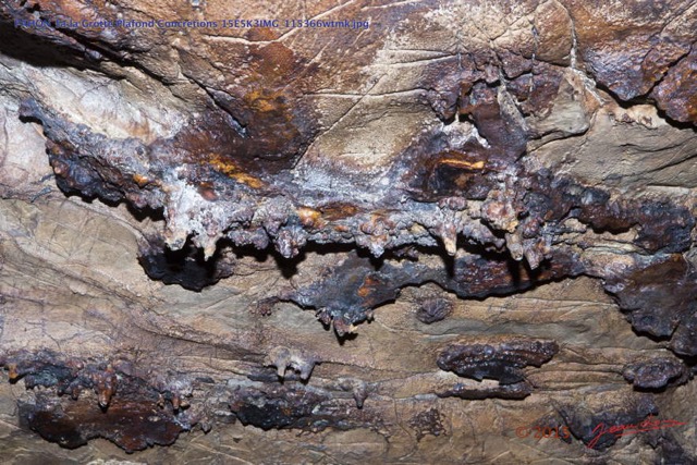 068 PAHON 1a la Grotte Plafond Concretions 15E5K3IMG_115366wtmk.jpg