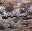 068 PAHON 1a la Grotte Plafond Concretions 15E5K3IMG_115366wtmk.jpg