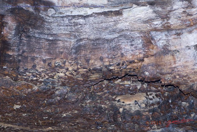 069 PAHON 1a la Grotte Plafond Concretions et Chauves-Souris 15E5K3IMG_115368wtmk.jpg