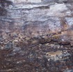 069 PAHON 1a la Grotte Plafond Concretions et Chauves-Souris 15E5K3IMG_115368wtmk.jpg