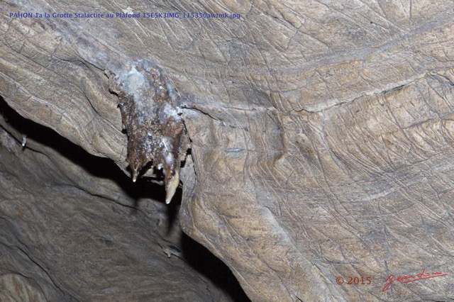 071 PAHON 1a la Grotte Stalactite au Plafond 15E5K3IMG_115350awtmk.jpg