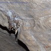 071 PAHON 1a la Grotte Stalactite au Plafond 15E5K3IMG_115350awtmk.jpg