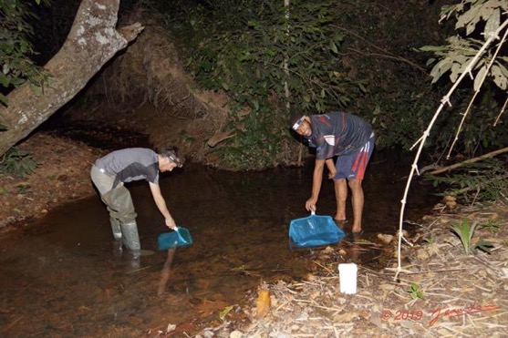 POISSONS 5 La Lope Arret 5 Recolte de Nuit 19E80DIMG_190707140755_DxOwtmk 60k-Web