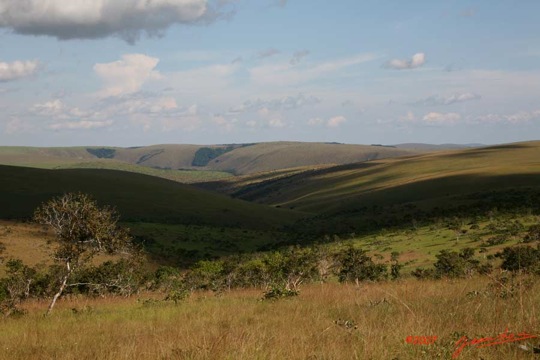 Plateaux-Batekes-Savane-7IMG_8420WTMK-Web