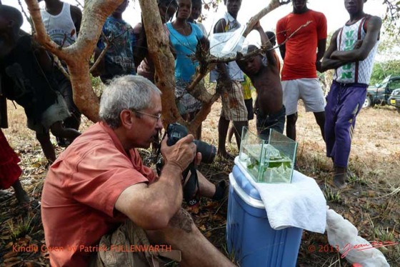 Edjangoulou-Photos-des-Poissons-par-JLA-PatrickFullenwarthP1080529wtmk-Web