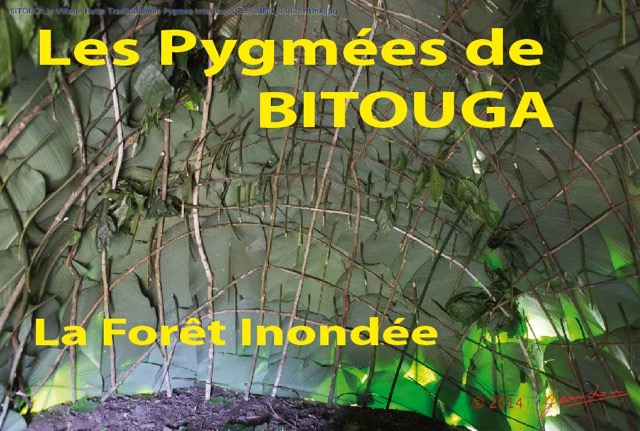 034 Titre Photos Bitouga Foret Inondee-01.jpg