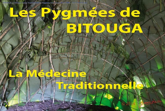 214 Titre Photos Bitouga Medecine Traditionnelle-01.jpg