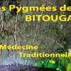 214 Titre Photos Bitouga Medecine Traditionnelle-01.jpg