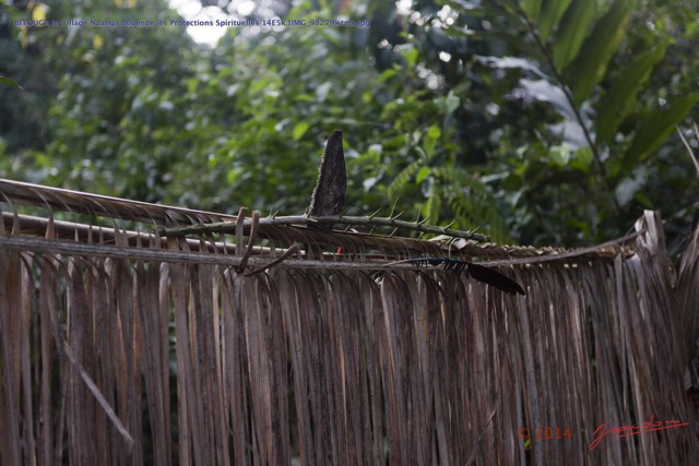 218 BITOUGA le Village Nzanga Bouenze les Protections Spirituelles 14E5K3IMG_98279wtmk.jpg