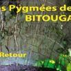 231 Titre Photos Bitouga le Retour-01.jpg