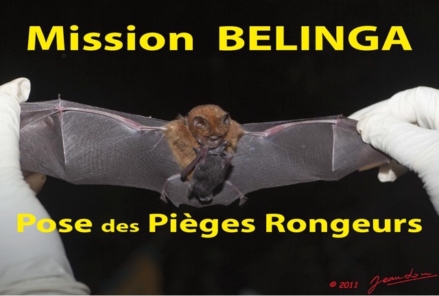 025 Titre Photos Mission1 Pieges Rongeurs.jpg