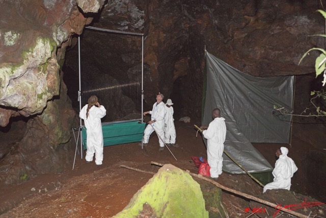 052 Mission 1 Grotte de Zadie Montage du Piege Harpe 11E5K2IMG_69867wtmk.jpg