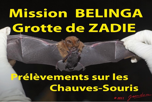 084 Titre Photos Mission1 Zadie Prel CS.jpg