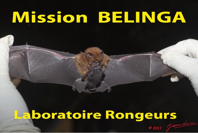 109 Titre Photos Mission1 Laboratoire Rongeurs.jpg