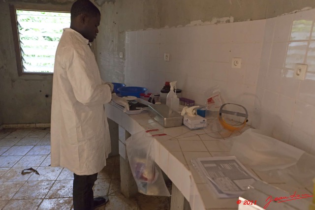 111 Mission 1 Belinga Campement Laboratoire Rongeurs 11E5K2IMG_70156wtmk.jpg