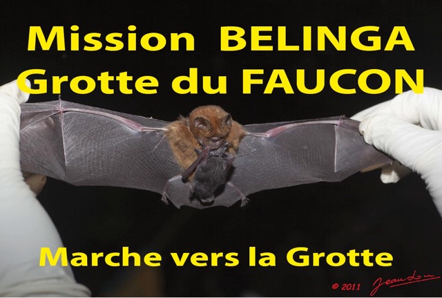 122 Titre Photos Mission1 Faucon Marche.jpg