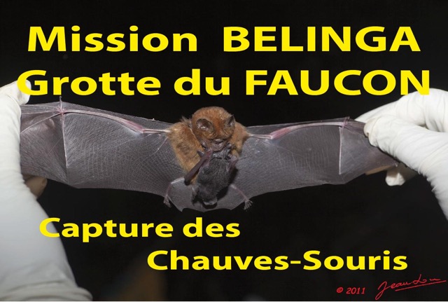 131 Titre Photos Mission1 Faucon Capture CS.jpg