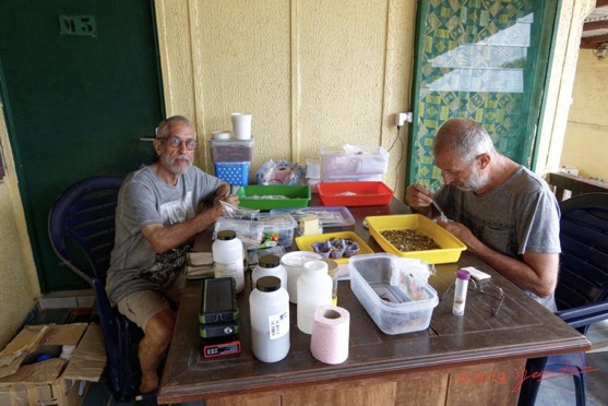 ENTOMO 03 Nyonie le Campement Philippe et JLA Triant les Insectes le Matin 19RX106DSC_1908281009673_DxOwtmk 101k-Web