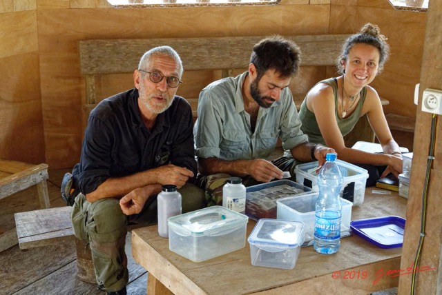 132 ENTOMO 02 Ivindo le Camp Dilo le Bungalow de Sejour Traitement des Insectes par Marios Violette et JLA 19RX106DSC_1908141001125_DxOwtmk 150k.jpg