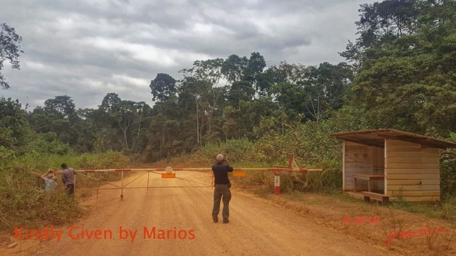 019 Entomo 01 Piste Biboulou-Mikongo Fermeture Barriere et JLA prenant des Photos Photo Marios 19SamsungMariosIMG_1907281020190728_172131_DxOwtmk 150k.jpg