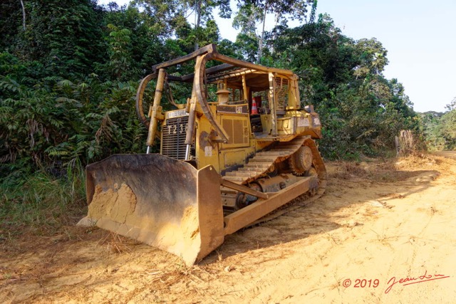 020 ENTOMO 01 Mikongo Piste avec Engin de Chantier Bulldozer a Chenilles 19RX106DSC_1908101000887_DxOwtmk 150k.jpg