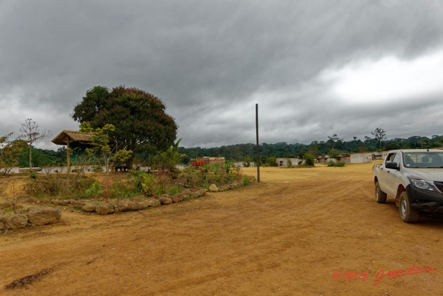 025 ENTOMO 01 Mikongo le Village 19RX106DSC_1908071000724_DxOwtmk 150k.jpg