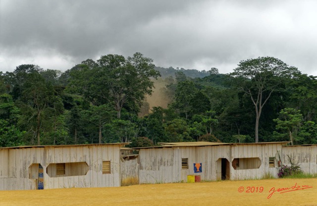 026 ENTOMO 01 Mikongo le Village 19RX106DSC_1908071000726_DxOwtmk 150k.jpg