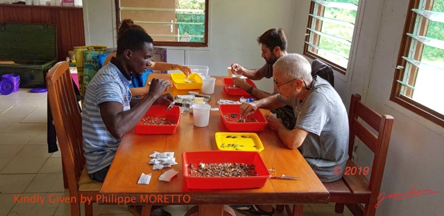 079 Entomo 01 Mikongo la Base Triage des Insectes le Matin avec Jacques Violette Marios et JLA 19GalaxyS8PhMoIMG_20190806_095118_DxOwtmk 150k.jpg