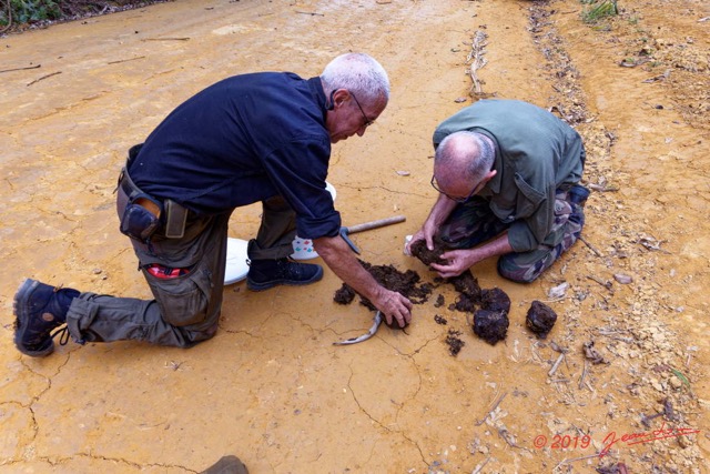 192 ENTOMO 01 Mikongo Inspection Feces Elephant sur la Piste par Philippe et JLA 19RX106RecDSC_1907301000172_DxOwtmk 150k.jpg