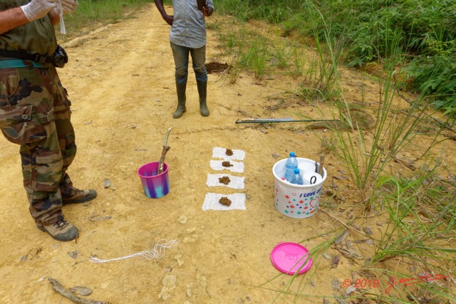 201 ENTOMO 01 Mikongo Preparation Piege Bousier avec Feces Humaines par Philippe 19RX106RecDSC_1907301000258_DxOwtmk 150k.jpg