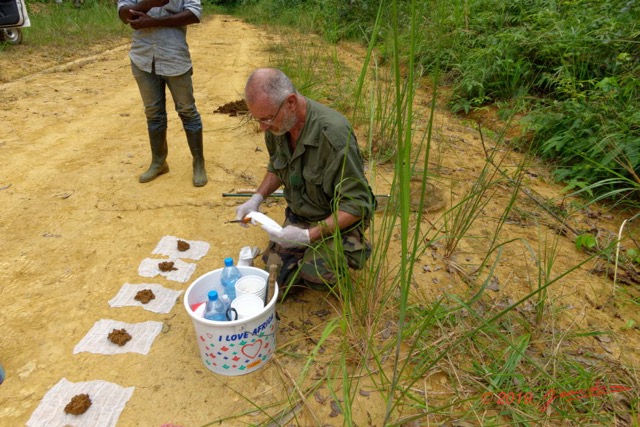 203 ENTOMO 01 Mikongo Preparation Piege Bousier avec Feces Humaines par Philippe 19RX106RecDSC_1907301000262_DxOwtmk 150k.jpg