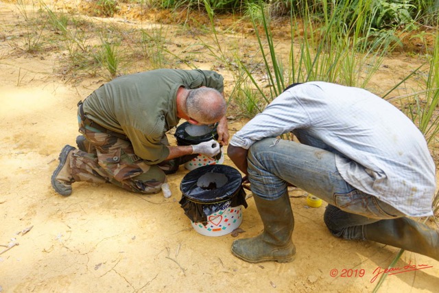 206 ENTOMO 01 Mikongo Preparation Piege Bousiers avec Feces Elephant par Philippe et Jacques 19E5K3IMG_190731151271_DxOwtmk 150k.jpg