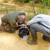 206 ENTOMO 01 Mikongo Preparation Piege Bousiers avec Feces Elephant par Philippe et Jacques 19E5K3IMG_190731151271_DxOwtmk 150k.jpg