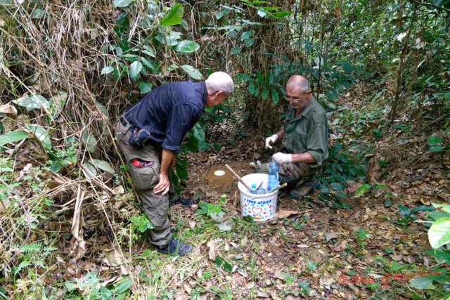 208 ENTOMO 01 Mikongo Pose Piege 2 Bousier avec Feces Humaines Par Philippe 19RX106RecDSC_1907301000282_DxOwtmk 150k.jpg