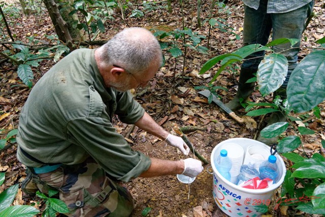 216 ENTOMO 01 Mikongo Pose Piege Bousier avec Feces Humaines par Philippe 19RX106RecDSC_1907301000266_DxOwtmk 150k.jpg