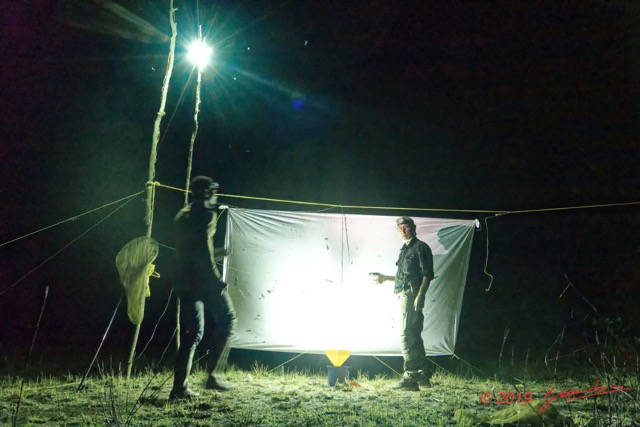 160 ENTOMO 03 Nyonie la Savane le Piege au Drap et Lampe au Mercure Inspection par Jacques et JLA la Nuit 19RX106DSC_1908271009632_Nik_DxOwtmk 150k.jpg