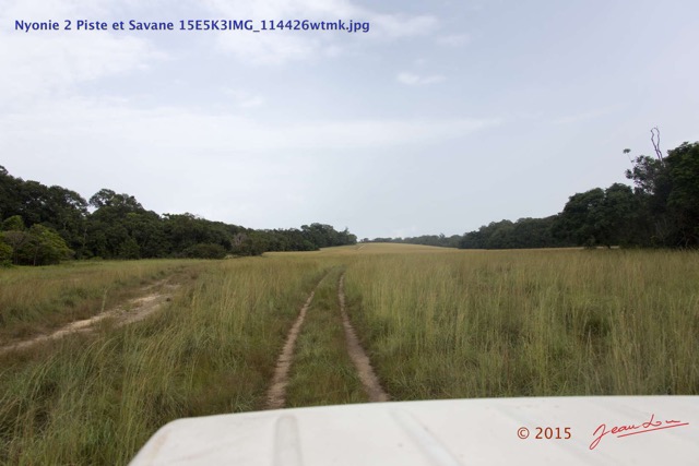 100 Nyonie 2 Piste et Savane 15E5K3IMG_114426wtmk.JPG