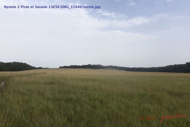 101 Nyonie 2 Piste et Savane 15E5K3IMG_114461wtmk.JPG