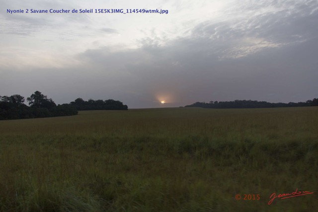 126 Nyonie 2 Savane Coucher de Soleil 15E5K3IMG_114549wtmk.JPG