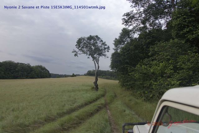 131 Nyonie 2 Savane et Piste 15E5K3IMG_114501wtmk.JPG