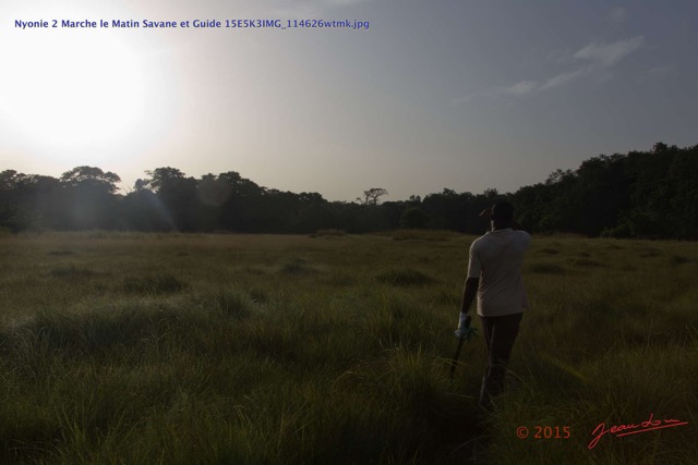 135 Nyonie 2 Marche le Matin Savane et Guide 15E5K3IMG_114626wtmk.JPG