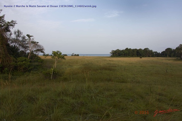 160 Nyonie 2 Marche le Matin Savane et Ocean 15E5K3IMG_114602wtmk.JPG