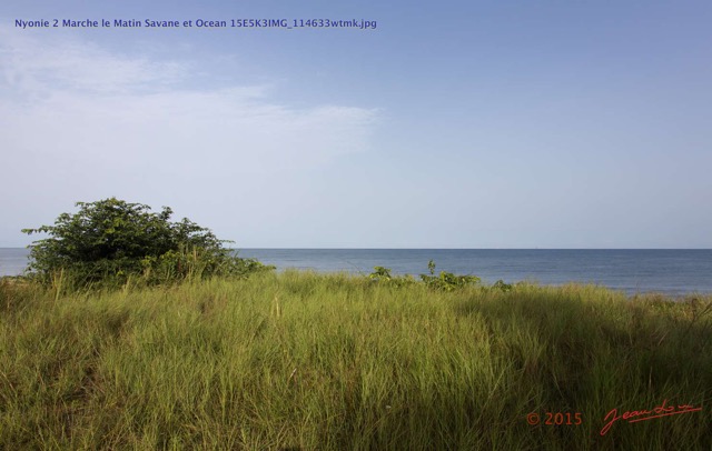 162 Nyonie 2 Marche le Matin Savane et Ocean 15E5K3IMG_114633wtmk.JPG